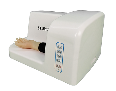 中医脉象模型|脉象训练模型(ABCD四组)